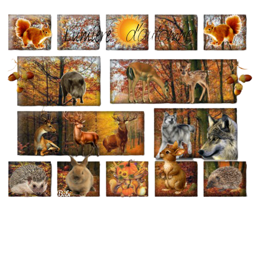 Biscuits En Céramique Non Peints Pour Animaux Forestiers - Prêts à Décorer, Fait Main, Choix Parmi 3 Modèles