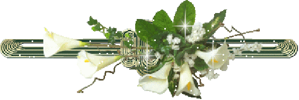 Barre_Arum._Fleur_1