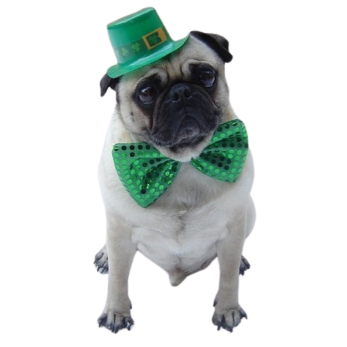 Carlin_St_Pat-removebg-preview