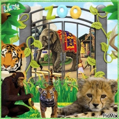 Léo s'est tiré du zoo avec ses amis