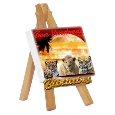 pixiz-BON_VENDREDI_FAUVES-removebg-preview